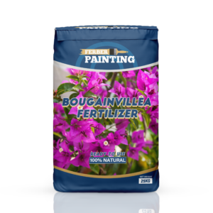 Gødning til bougainvillea