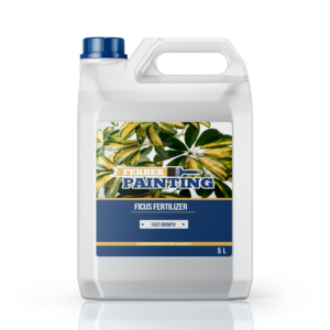 Ficus Fertilizer