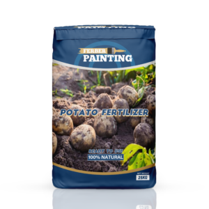 Potato Fertilizer