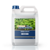 Verbena Fertilizer