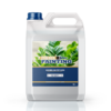 Zamioculcas Fertilizer
