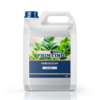 Zamioculcas Fertilizer
