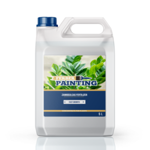 Zamioculcas Fertilizer