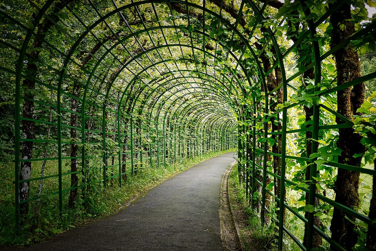 leaves, pergola, arch, trail, pathway, curve, horticulture, park, branches, nature, garden, pergola, pergola, pathway, pathway, pathway, pathway, pathway